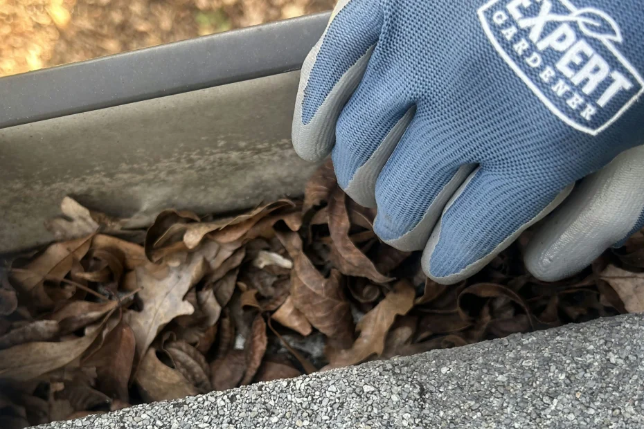 Gutter Cleaning Hockessin