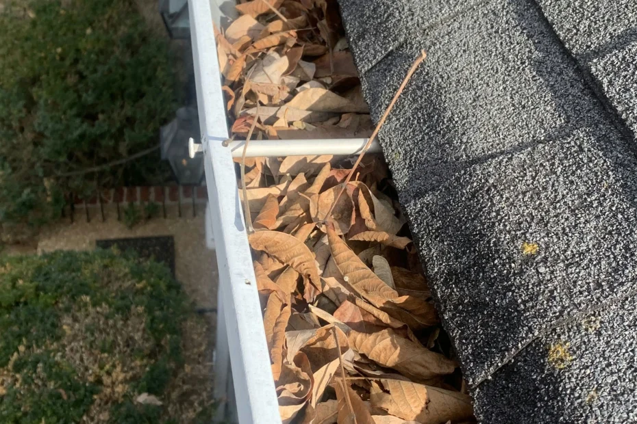 Gutter Cleaning Hockessin