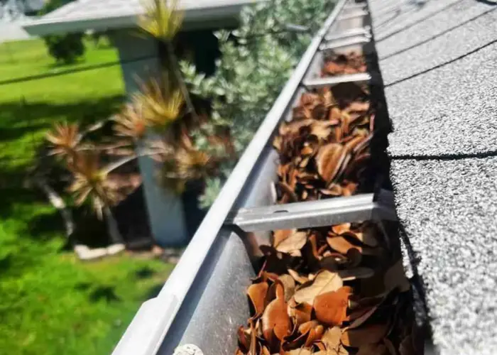 Gutter Cleaning Hockessin home page